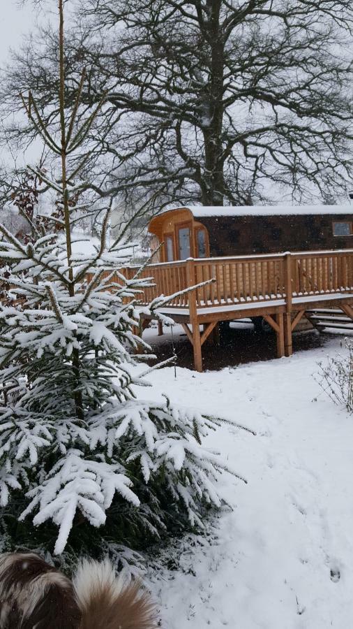 Hotel Ma Roulotte Sous Les Chenes "La Passionnee" Raon-aux-Bois Zewnętrze zdjęcie